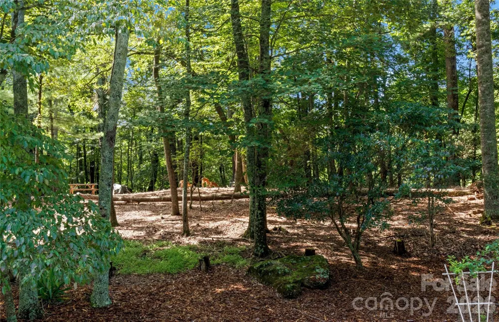 1502 Greenstreet Drive Traphill, NC 28685