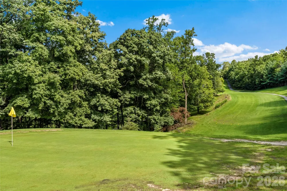 1502 Greenstreet Drive Traphill, NC 28685