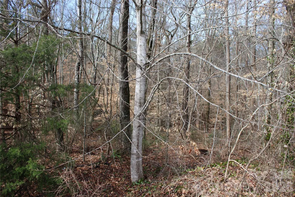 Lot 13 Weatherfield Drive #13 Lincolnton, NC 28092