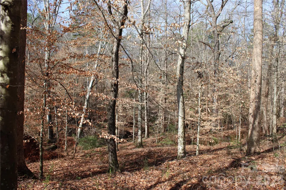 Lot 13 Weatherfield Drive #13 Lincolnton, NC 28092