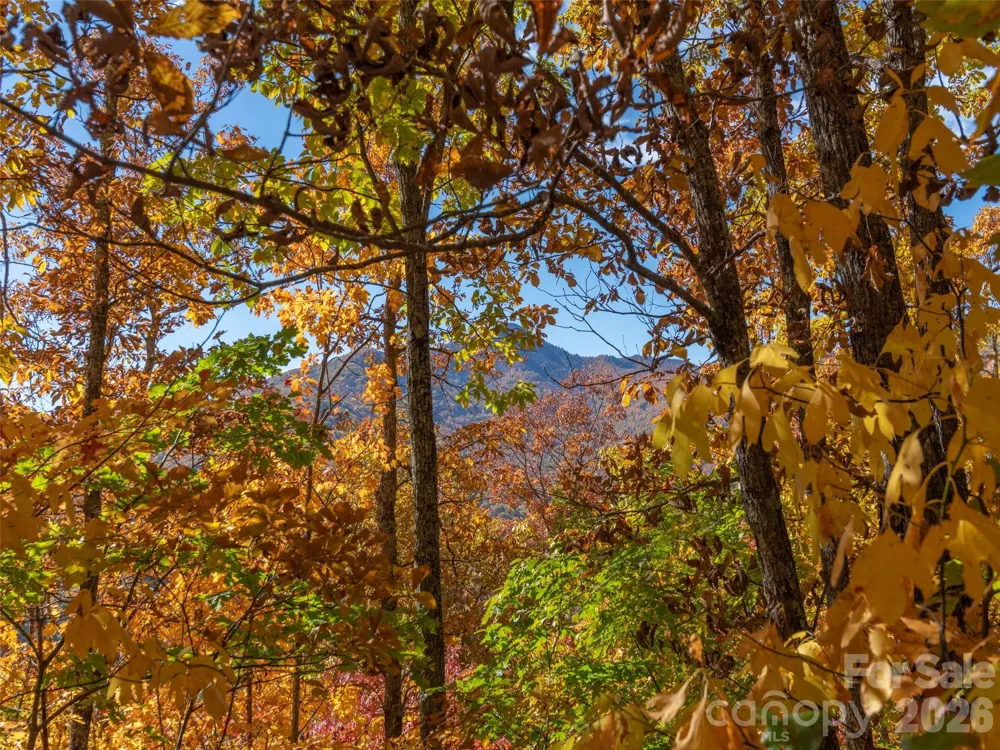 0 Legend Road #18 Waynesville, NC 28786