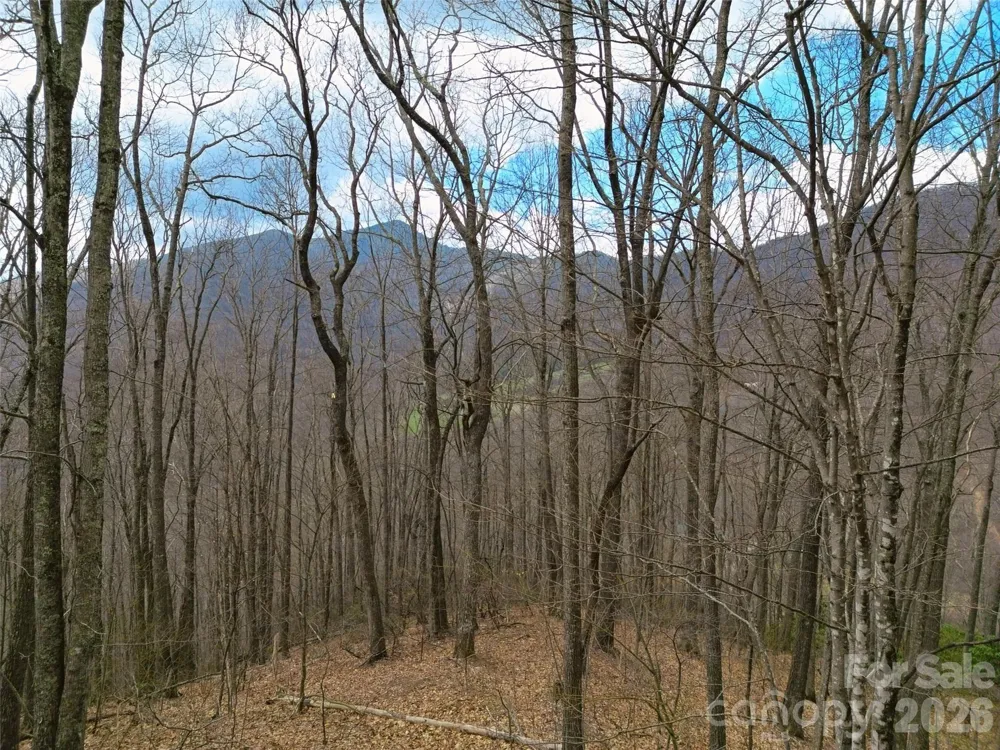 0 Legend Road #18 Waynesville, NC 28786