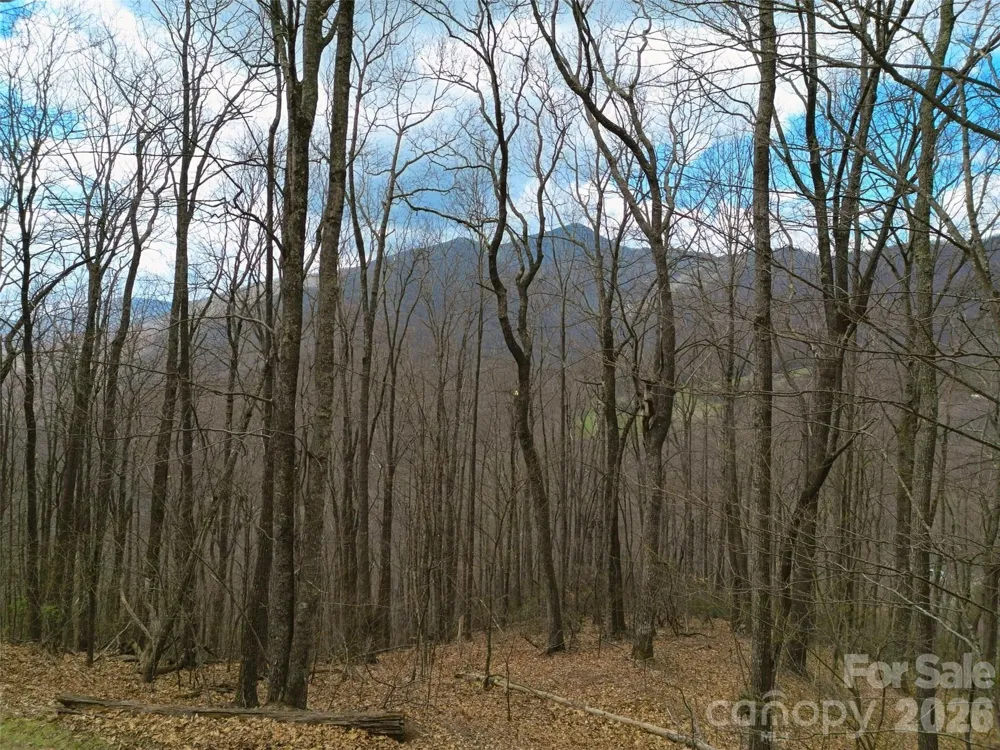 0 Legend Road #18 Waynesville, NC 28786