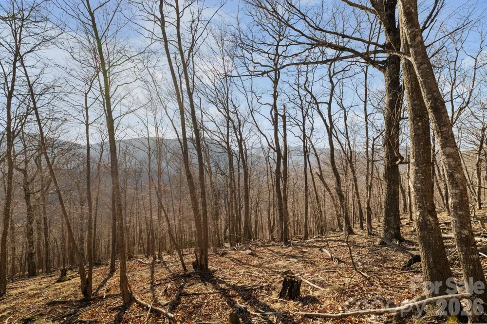 TBD Lauren Lane #174,175,247,248 West Jefferson, NC 28694