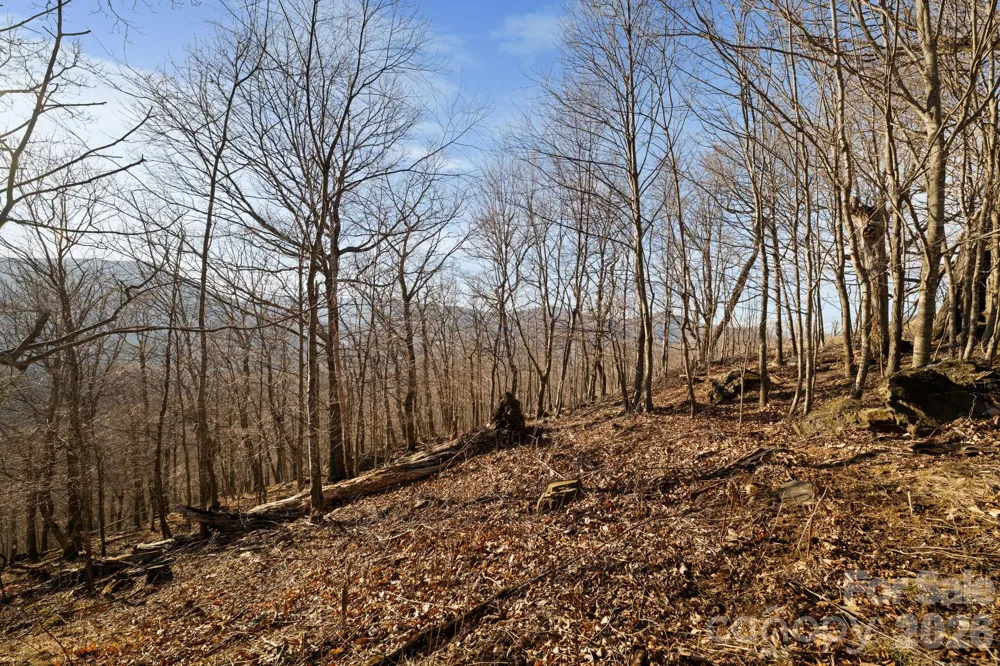 TBD Lauren Lane #174,175,247,248 West Jefferson, NC 28694
