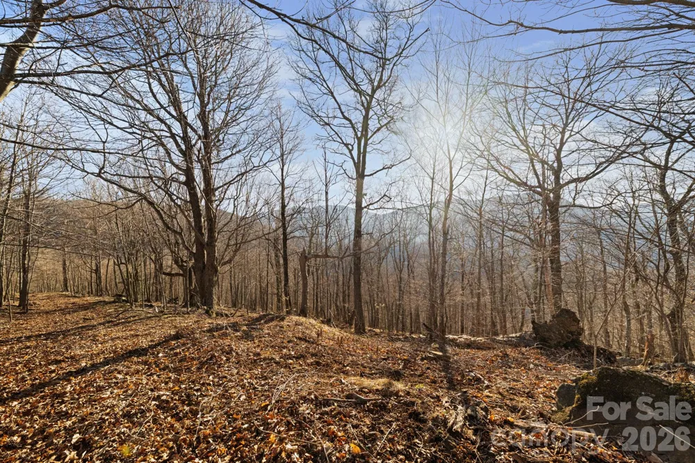 TBD Lauren Lane #174,175,247,248 West Jefferson, NC 28694
