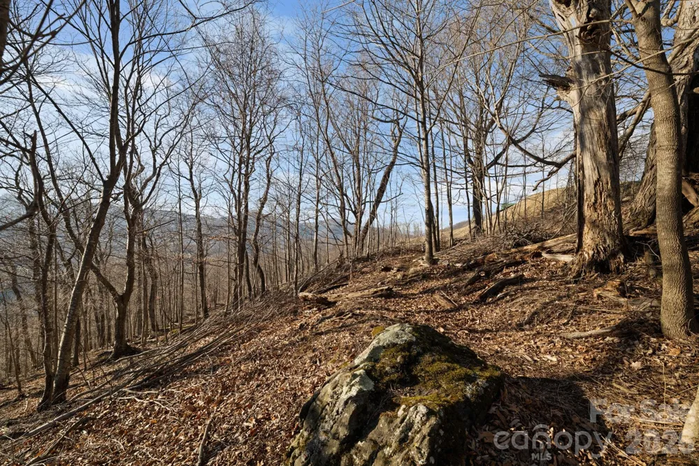 TBD Lauren Lane #174,175,247,248 West Jefferson, NC 28694