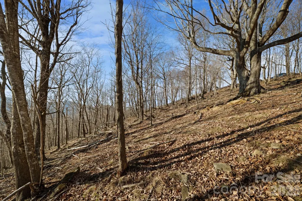 TBD Lauren Lane #174,175,247,248 West Jefferson, NC 28694