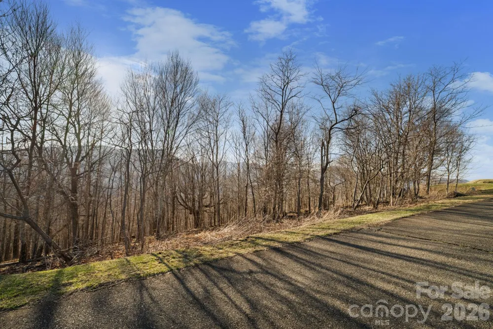 TBD Lauren Lane #174,175,247,248 West Jefferson, NC 28694