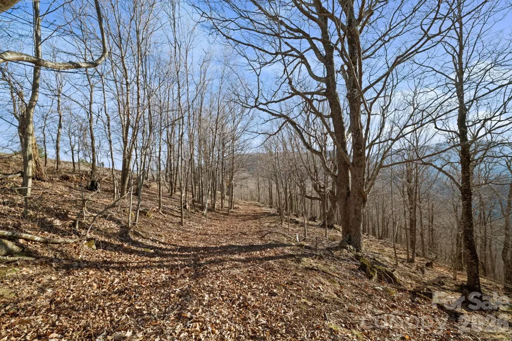 TBD Lauren Lane #174,175,247,248 West Jefferson, NC 28694