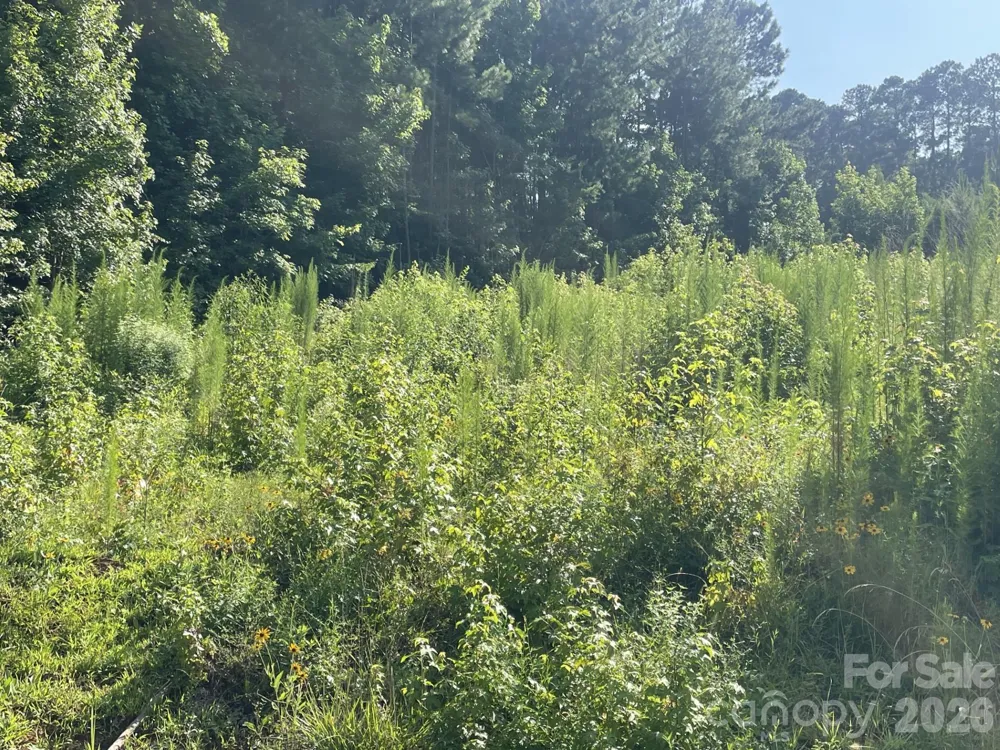0 Ski Pond Road New London, NC 28127