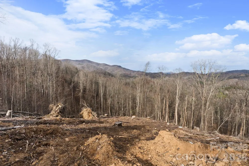 TBD Pinnacle View Elk Park, NC 28622