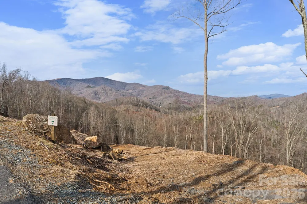 TBD Pinnacle View Elk Park, NC 28622