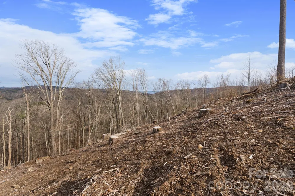 TBD Pinnacle View Elk Park, NC 28622