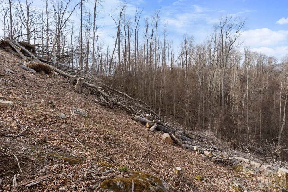 TBD Pinnacle View Elk Park, NC 28622