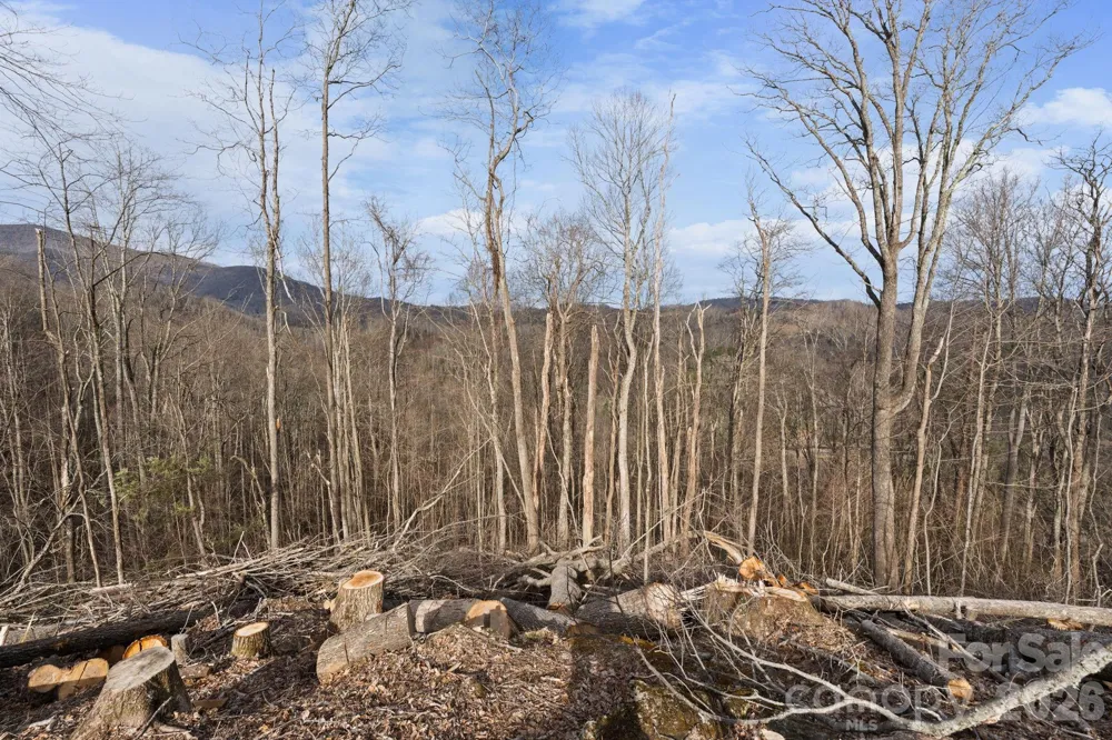 TBD Pinnacle View Elk Park, NC 28622