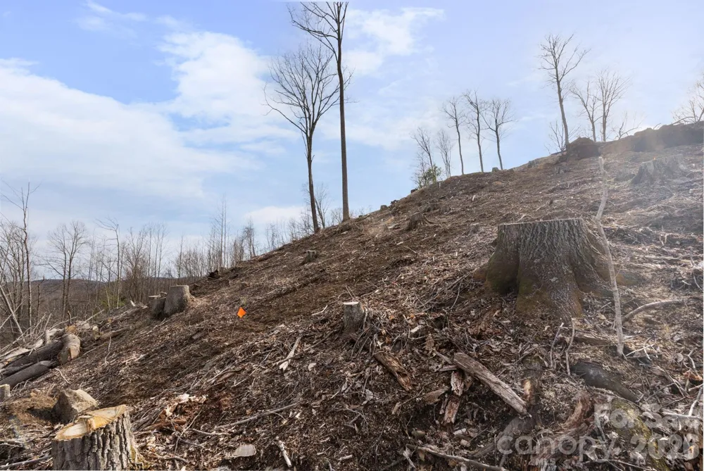TBD Pinnacle View Elk Park, NC 28622