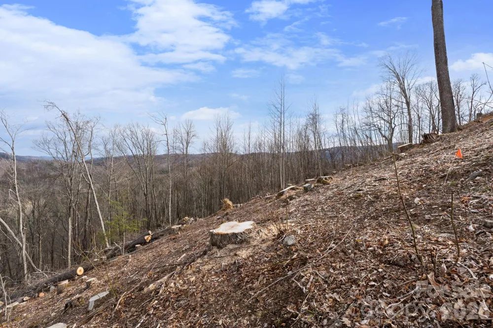 TBD Pinnacle View Elk Park, NC 28622