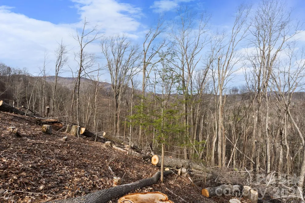 TBD Pinnacle View Elk Park, NC 28622