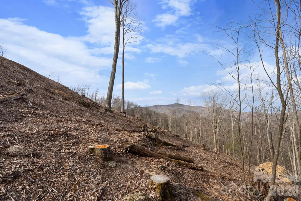 TBD Pinnacle View Elk Park, NC 28622