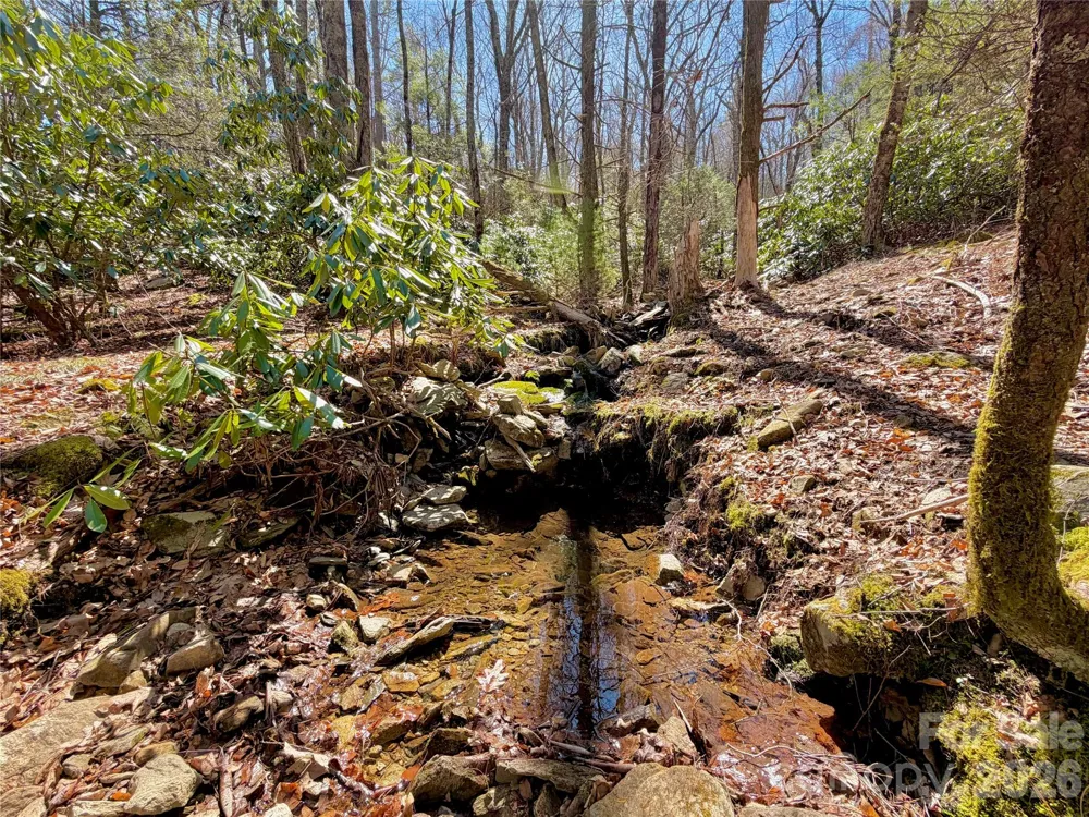 TBD George Hayes Road #Tract C Boone, NC 28607