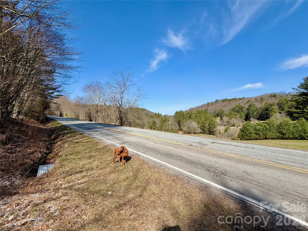 TBD George Hayes Road #Tract C Boone, NC 28607