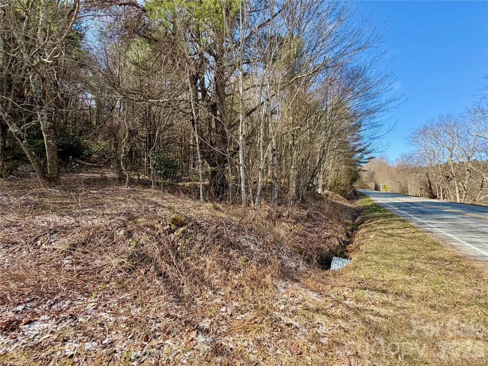 TBD George Hayes Road #Tract C Boone, NC 28607