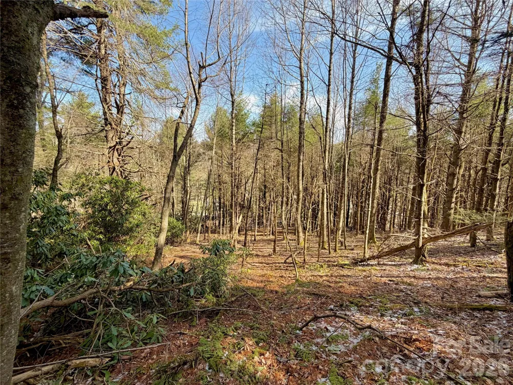 TBD George Hayes Road #Tract C Boone, NC 28607