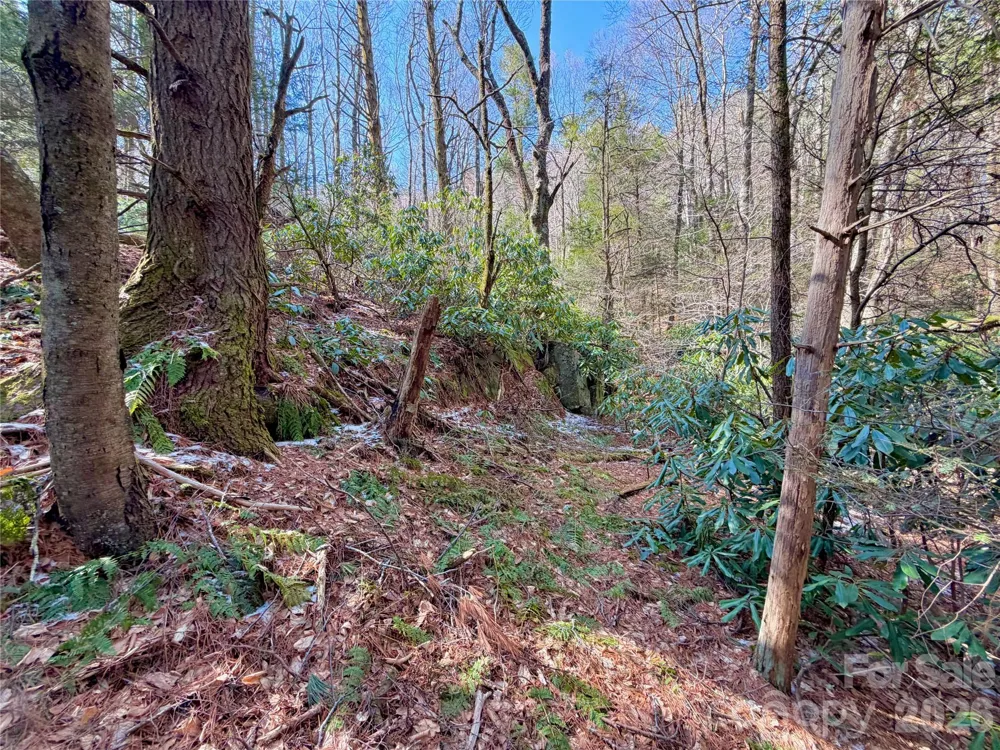 TBD George Hayes Road #Tract C Boone, NC 28607