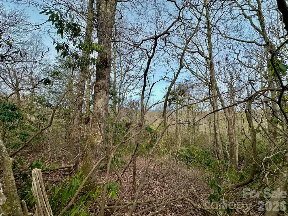 TBD George Hayes Road #Tract C Boone, NC 28607