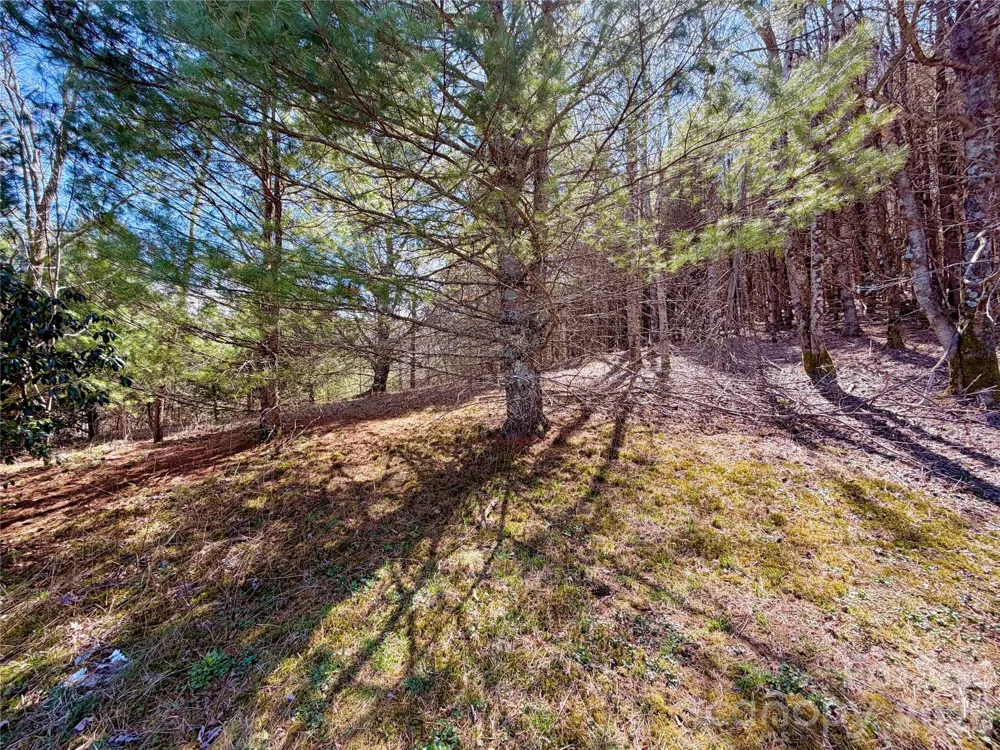 TBD George Hayes Road #Tract C Boone, NC 28607
