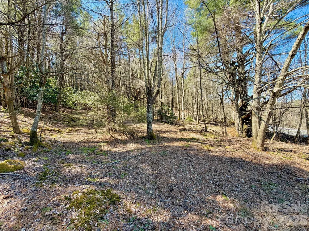 TBD George Hayes Road #Tract C Boone, NC 28607