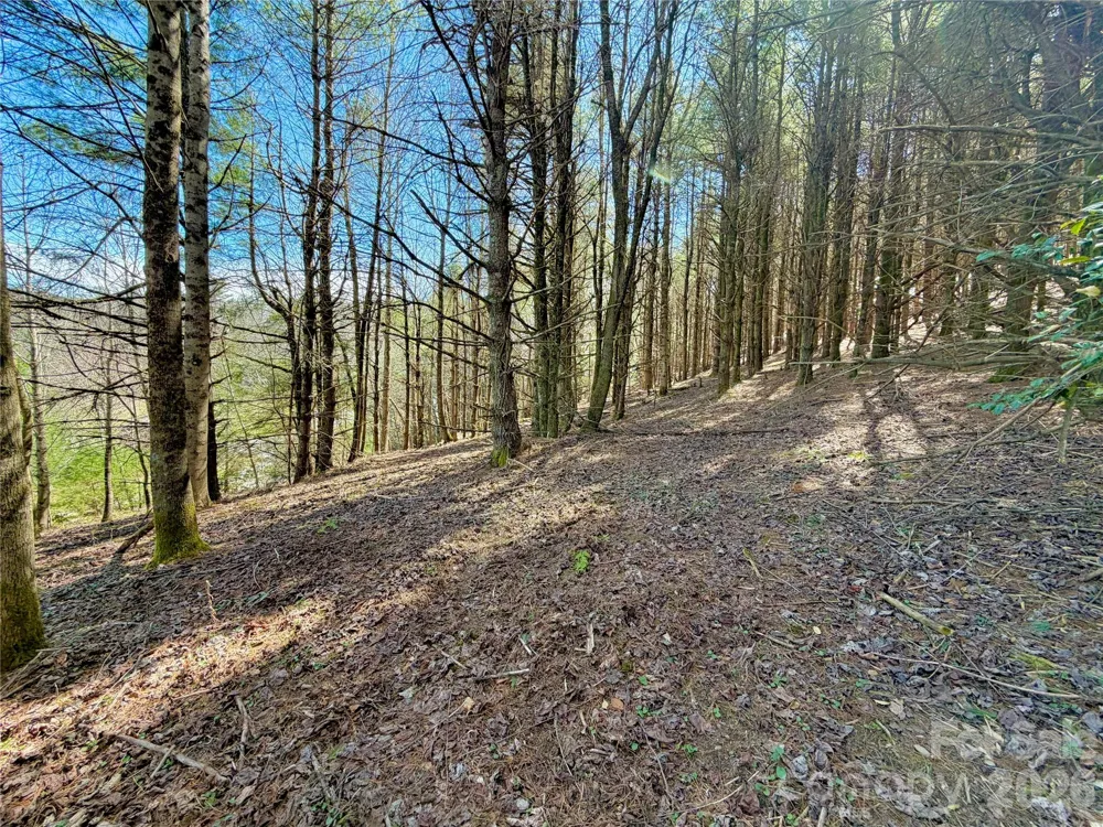 TBD George Hayes Road #Tract C Boone, NC 28607