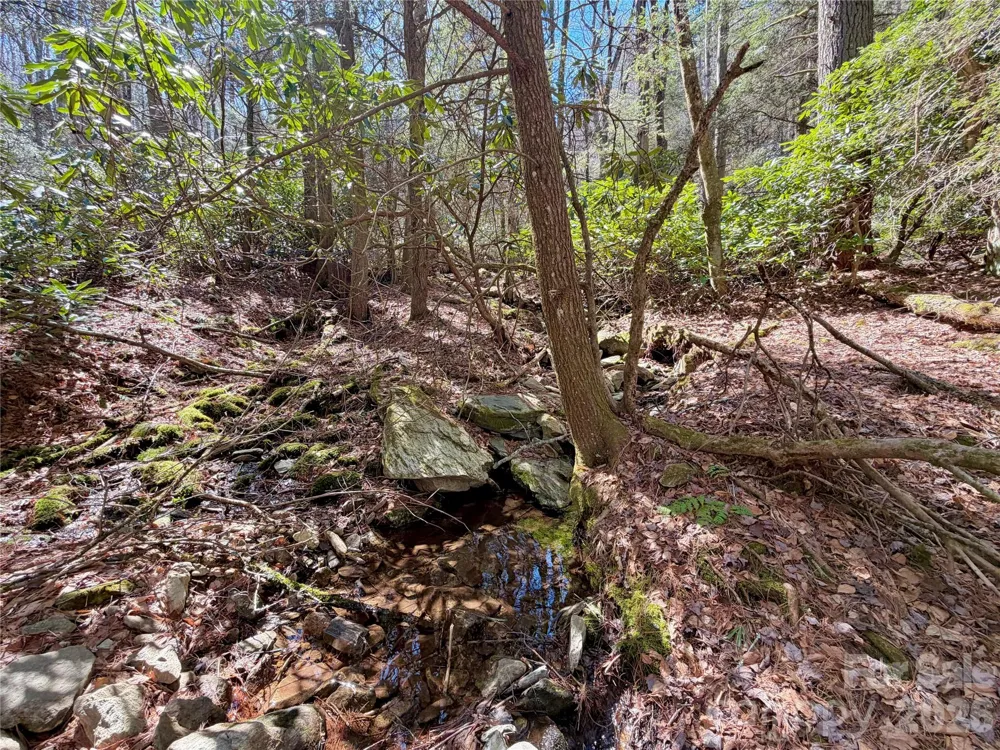 TBD George Hayes Road #Tract C Boone, NC 28607