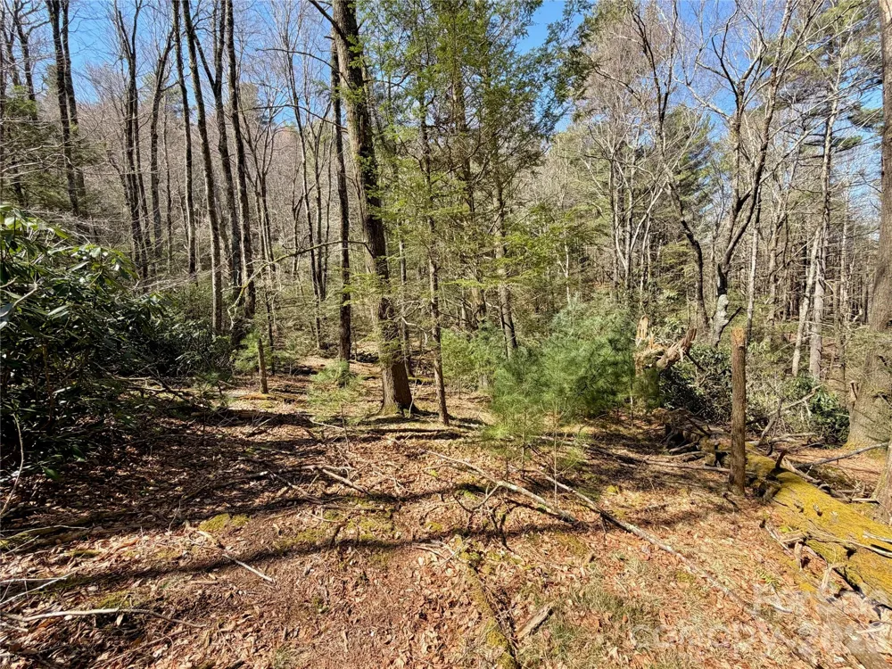 TBD George Hayes Road #Tract C Boone, NC 28607