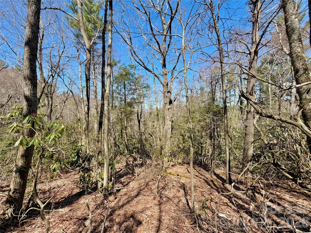 TBD George Hayes Road #Tract C Boone, NC 28607