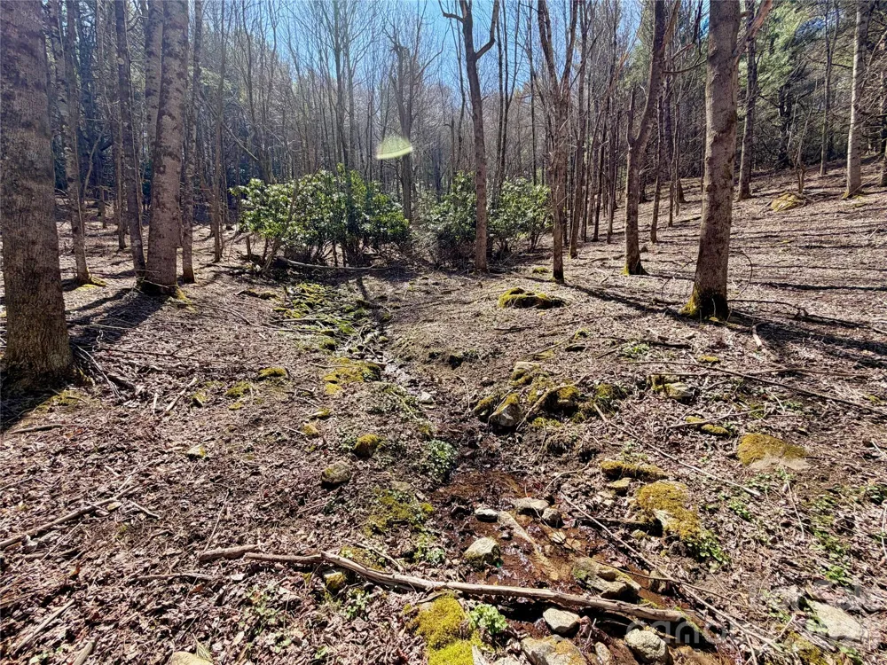 TBD George Hayes Road #Tract B Boone, NC 28607