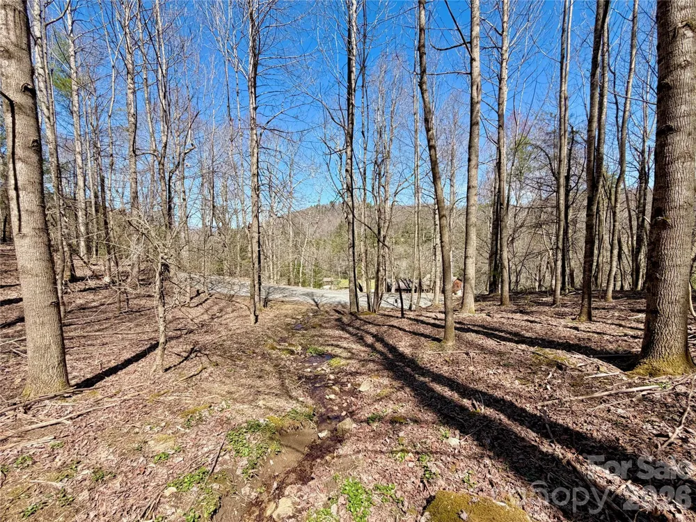 TBD George Hayes Road #Tract B Boone, NC 28607