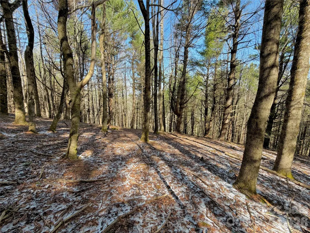 TBD George Hayes Road #Tract B Boone, NC 28607
