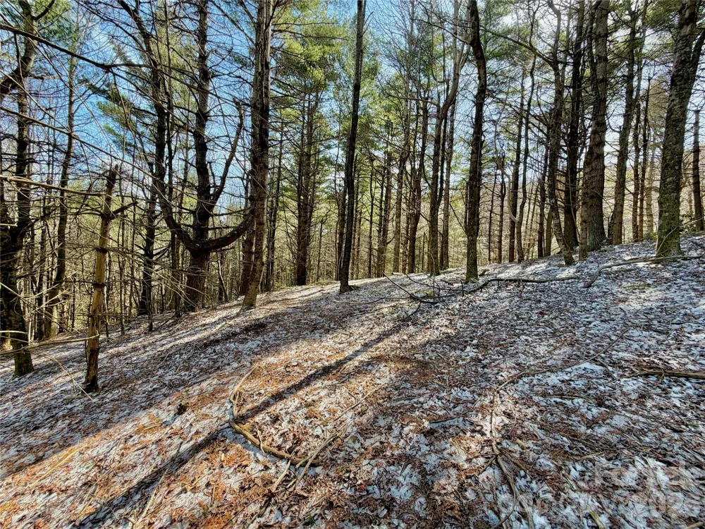 TBD George Hayes Road #Tract B Boone, NC 28607