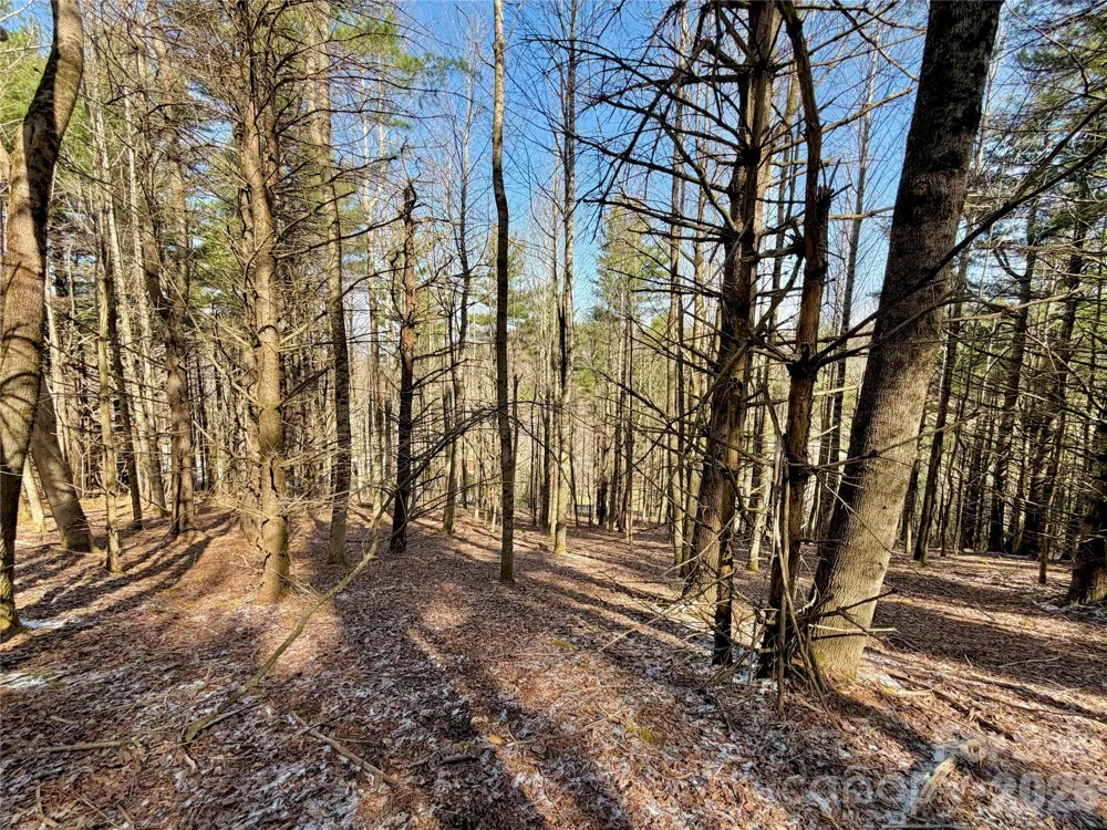 TBD George Hayes Road #Tract B Boone, NC 28607