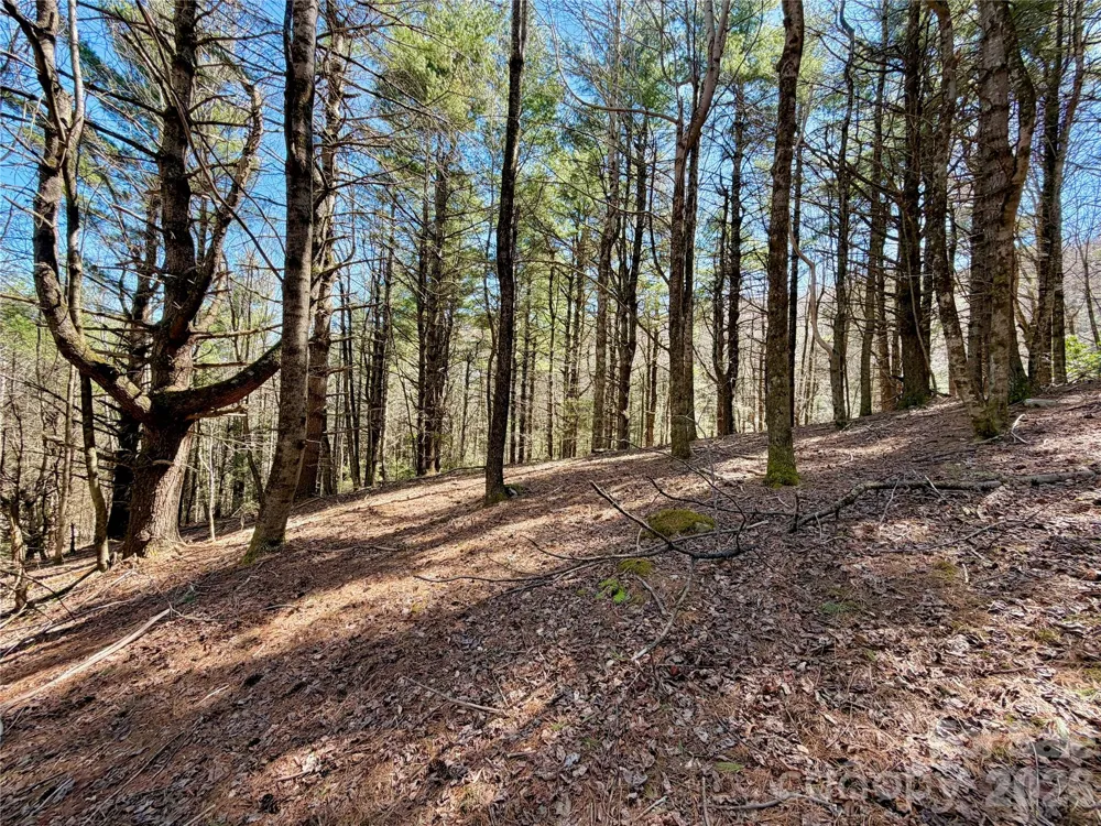 TBD George Hayes Road #Tract B Boone, NC 28607