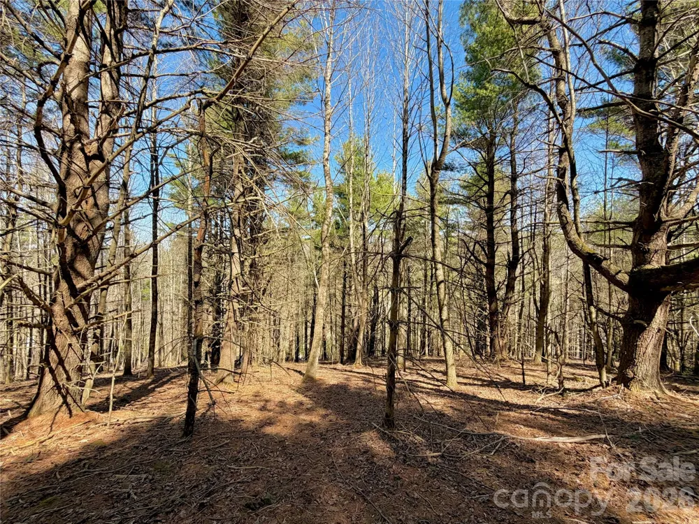TBD George Hayes Road #Tract B Boone, NC 28607