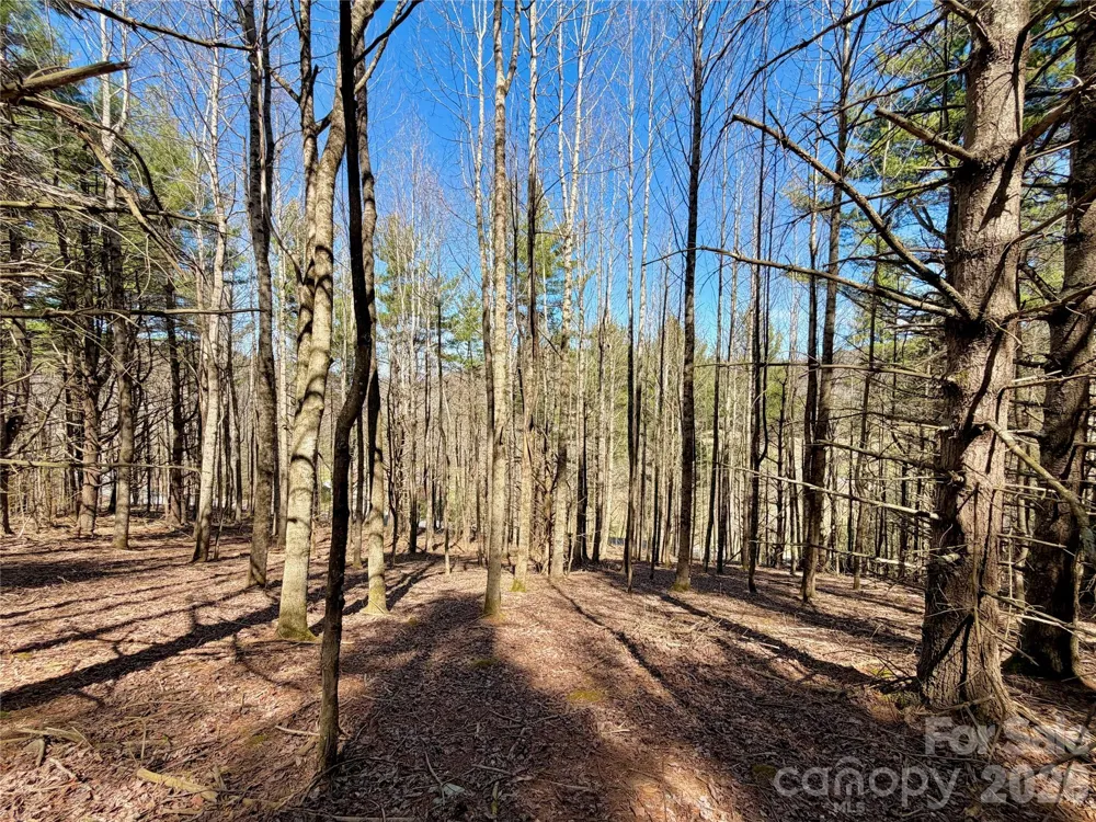 TBD George Hayes Road #Tract B Boone, NC 28607