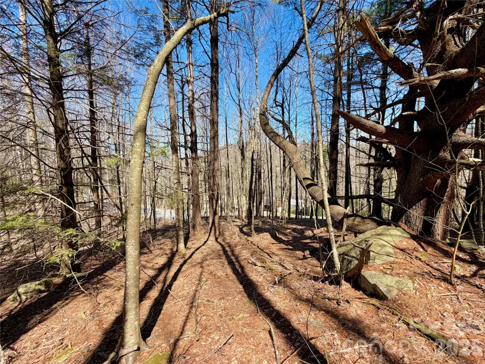 TBD George Hayes Road #Tract B Boone, NC 28607