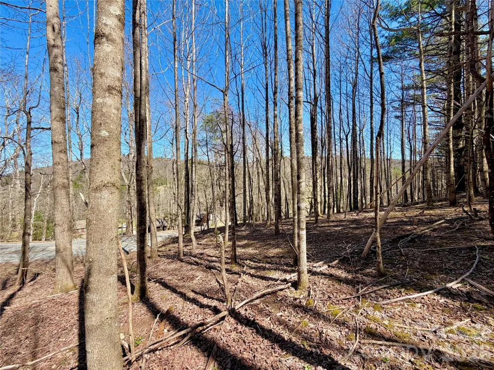 TBD George Hayes Road #Tract B Boone, NC 28607