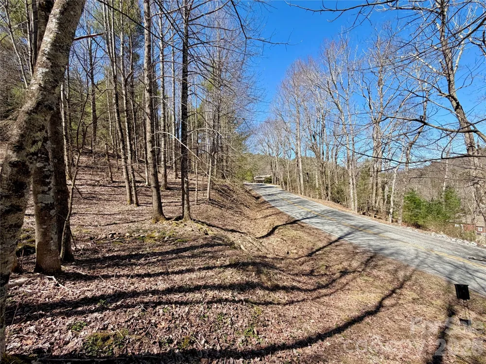 TBD George Hayes Road #Tract B Boone, NC 28607