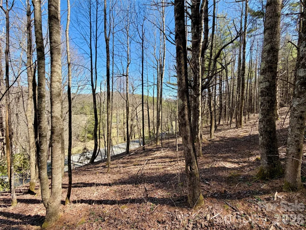 TBD George Hayes Road #Tract B Boone, NC 28607