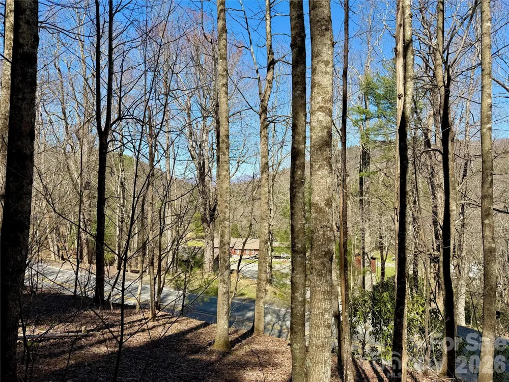 TBD George Hayes Road #Tract B Boone, NC 28607