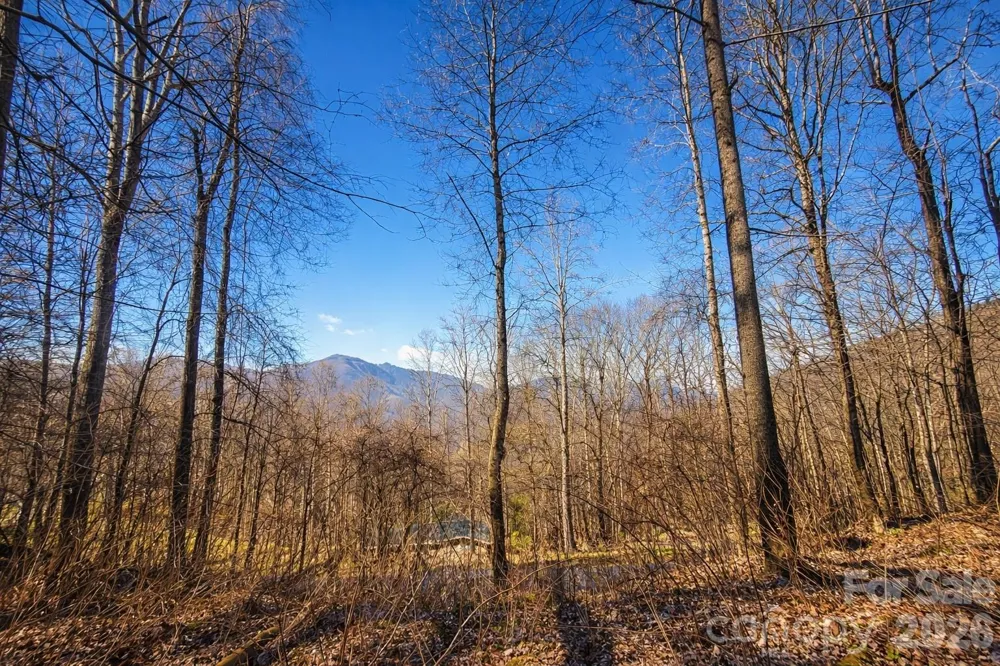 4 Buckeye Road #63 Maggie Valley, NC 28751